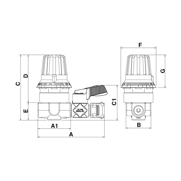 31/S4 - Regolatore di pressione a lettura diretta - Uscita aria N° 1 AIR/11 o Filetto 1/4” BSP - Per compressori - Ani 31/S4 - Regolatore di pressione a lettura diretta - Uscita aria N° 1 AIR/11 o Filetto 1/4” BSP - Per compressori - Ani